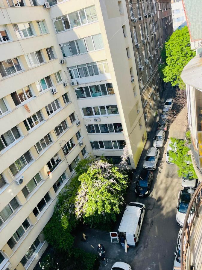 ブカレストCismigiu Park Viewアパートメント エクステリア 写真